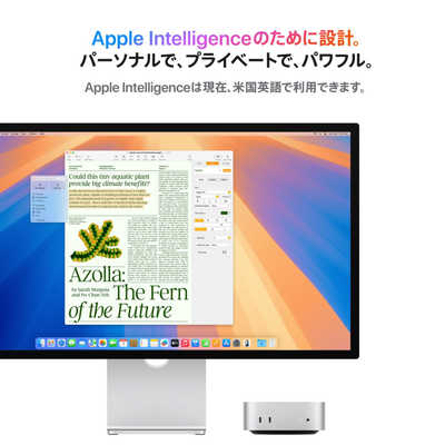 アップル Mac mini M4（10コアCPU/10コアGPU）シルバー [モニター無し
