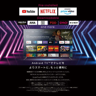 オリオン電機 チューナーレステレビ [ 65V型 / 4K対応 ]（TVチューナー