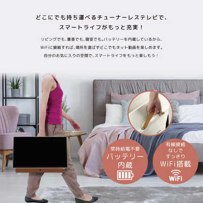 オリオン電機 24V型 バッテリー内蔵ポータブルチューナーレステレビ