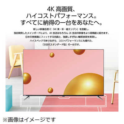オリオン電機 液晶テレビ [ 55V型 / 4Kチューナー内蔵 ] OL55XD100 の