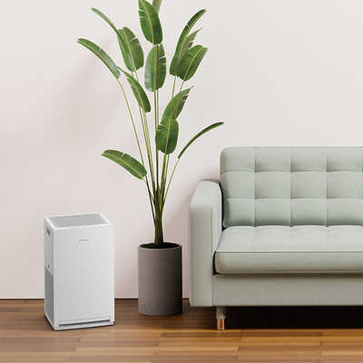 ダイキン DAIKIN 空気清浄機 ストリーマ 空気清浄:25畳まで PM2.5対応