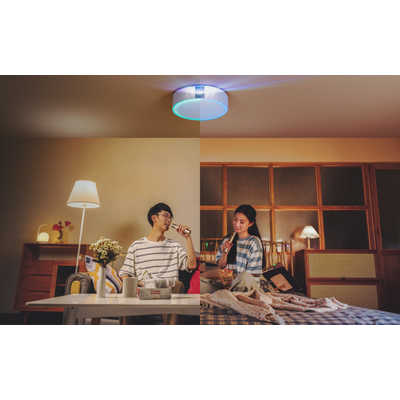 ALADDINX シーリングプロジェクター Aladdin X2 Light ( アラジン