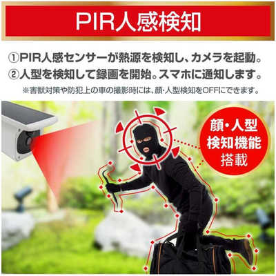 ダイトク ソーラーパネル一体・分離両用型屋外用防犯Wi-Fiカメラ Eco
