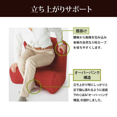 MTG スタイルドクタｰチェア ｢Style Dr.CHAIR｣ レッド ST-DC2039F-R の