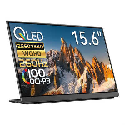 EHOMEWEI USB-C接続 モバイルモニター Lシリーズ(タッチパネル) ［15.6