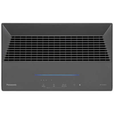 パナソニック Panasonic 次亜塩素酸 空間除菌脱臭機 ジアイーノ 空気