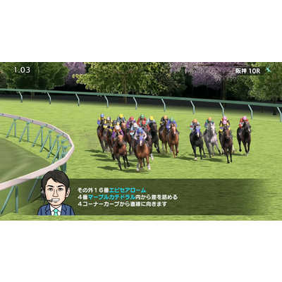 ゲームアディクト Switchゲームソフト ダービースタリオン HAC-P-AUE5A