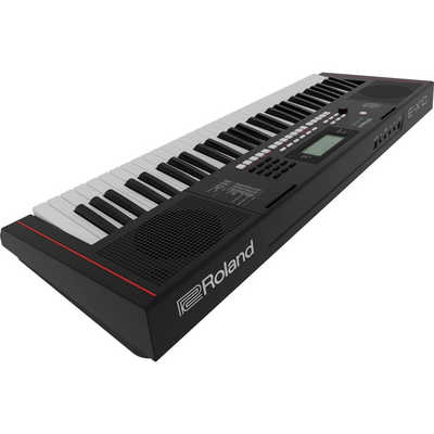ローランド Roland 電子キーボード ［61鍵盤］ E-X10 の通販