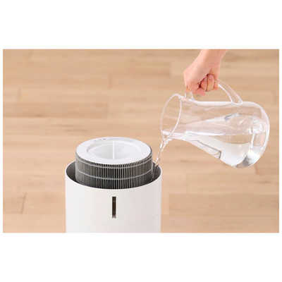 アイリスオーヤマ IRIS OHYAMA 加湿空気清浄機 10畳まで KAPSH201W の