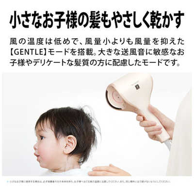 シャープ SHARP プラズマクラスタードライヤー beaut´e A（ボーテアー