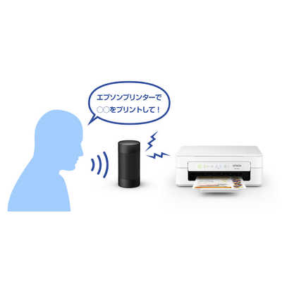エプソン EPSON A4カラーインクジェット複合機プリンター Colorio ［L