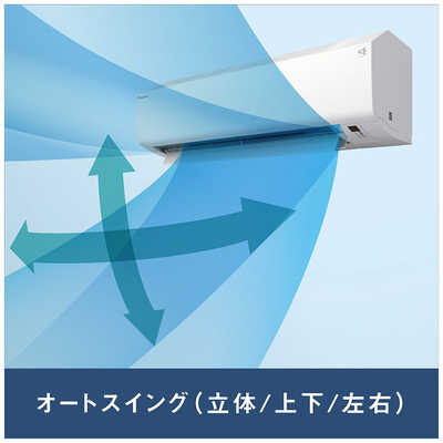 ダイキン DAIKIN エアコン CBKシリーズ おもに6畳用 (ビックカメラ
