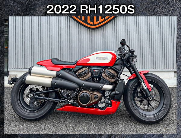 DALBOX ハーレーダビッドソン国立