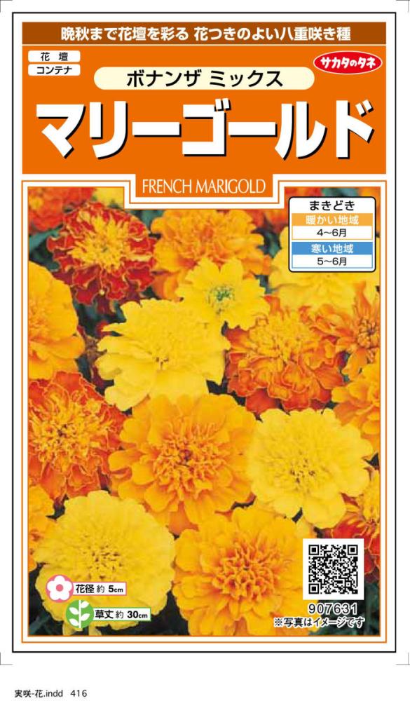 景観用大袋マリーゴールドアフリカントール の通販 | ホームセンター