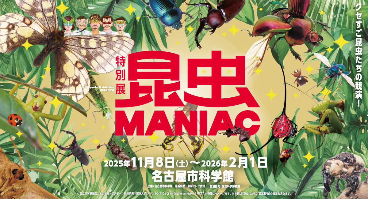 お知らせ | 特別展「昆虫 MANIAC」-名古屋市科学館特別展「昆虫 MANIAC