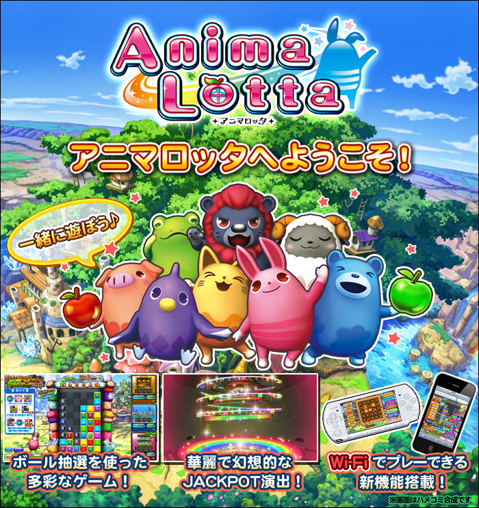 基本情報 | アニマロッタ