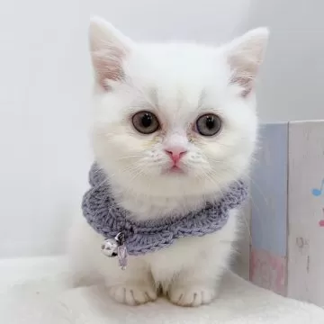 child_img_1_thumb_mob_cc5c1dd9