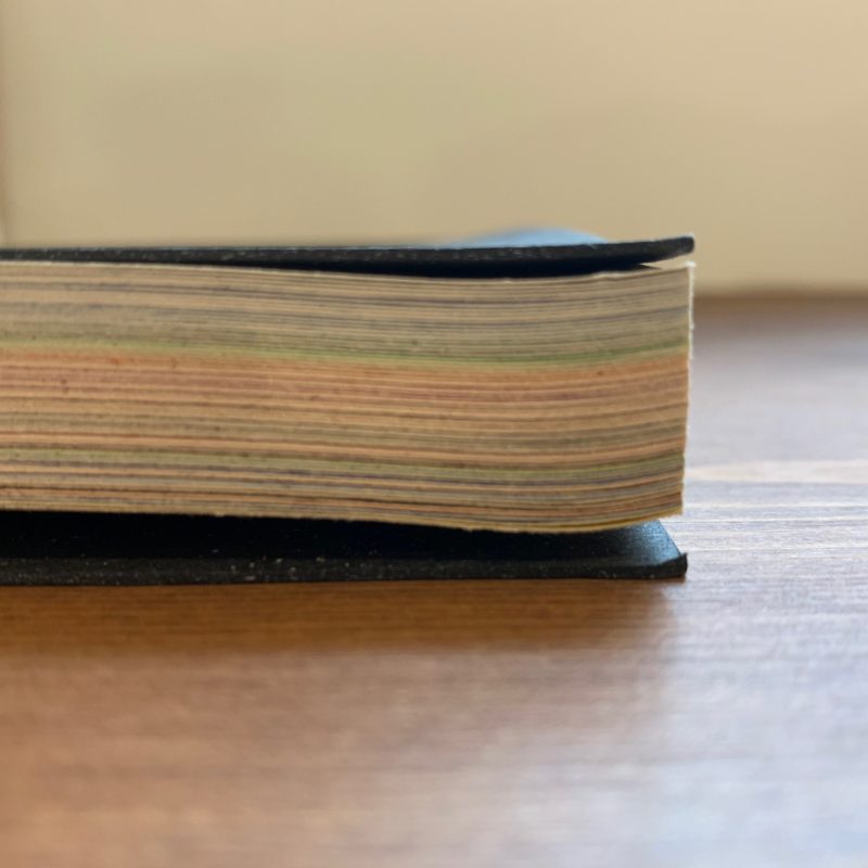 ル・コルビュジエ Le Corbusier: Polychromie architecturale ｜ 建築