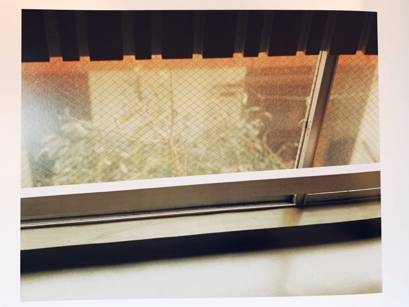 佐内正史写真集 生きている ｜ 青幻舎 ｜ 写真集 | 古本・版画・骨董の