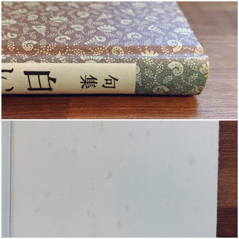 和田誠 句集 白い嘘 ｜ 梧葉出版 ｜ 俳句 | 古本・版画・骨董の出張