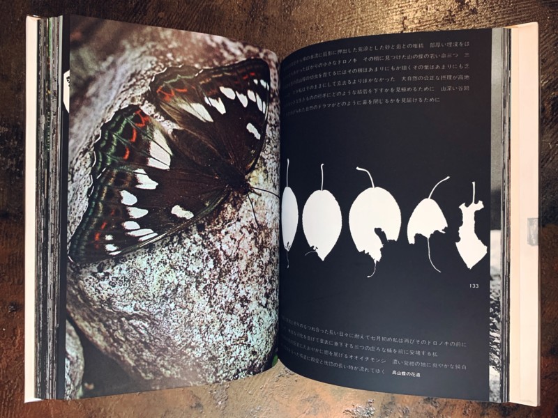 山の意匠 田淵行男写真集 ｜ 昭和46年初版・朝日新聞社 ｜ 山岳写真