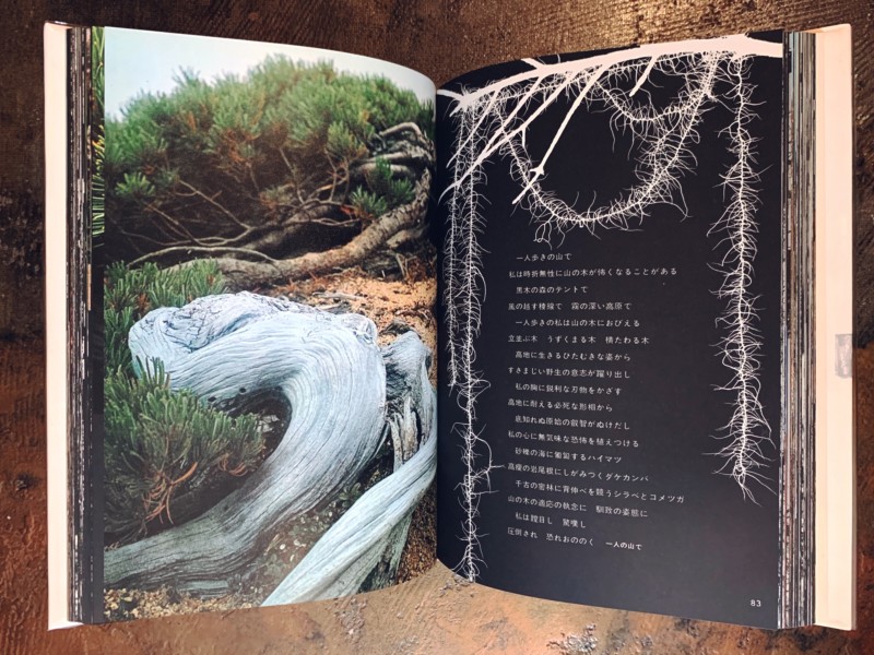 山の意匠 田淵行男写真集 ｜ 昭和46年初版・朝日新聞社 ｜ 山岳写真