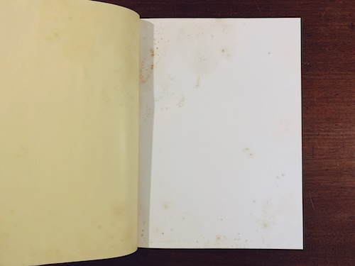 小島佐一作庭集 ｜ 監修：京都府造園協同組合 / 写真：小林賢司