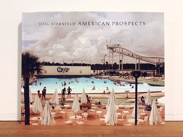 ジョエル・スタンフェルド JOEL STERNFELD: AMERICAN PROSPECTS