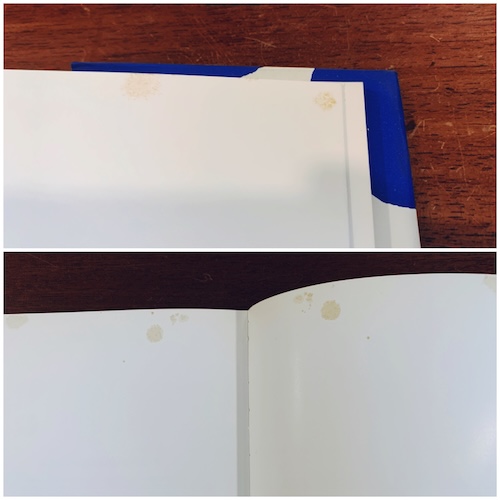 アンリ・マティス Matisse: Paper Cutouts ｜ 1984年・Thames and