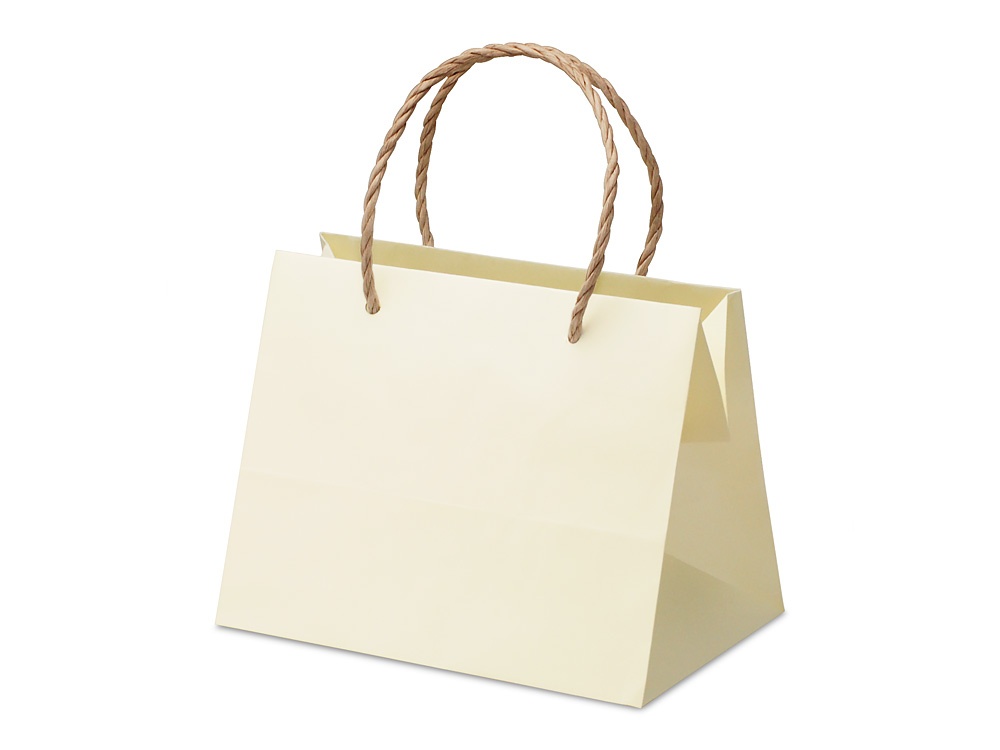 紙製手提袋 きなり 小【包】 | 紙製手提袋 きなり・さくら | ネット