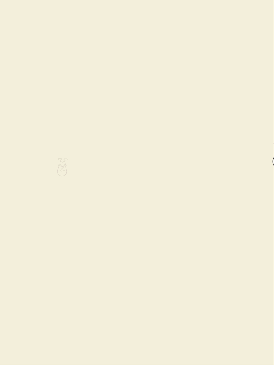 文藝 2023年春季号 | 河出書房新社