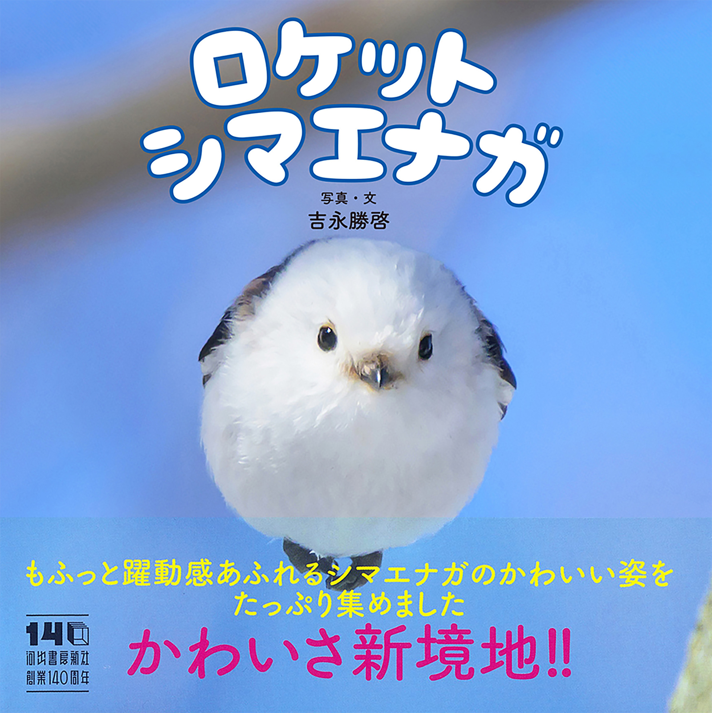 わたしの土地から大地へ :セバスチャン・サルガド,イザベル・フランク