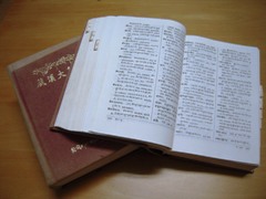 第142回○ツィクズー ～チベット語大辞典～ | チベット医・アムチ小川