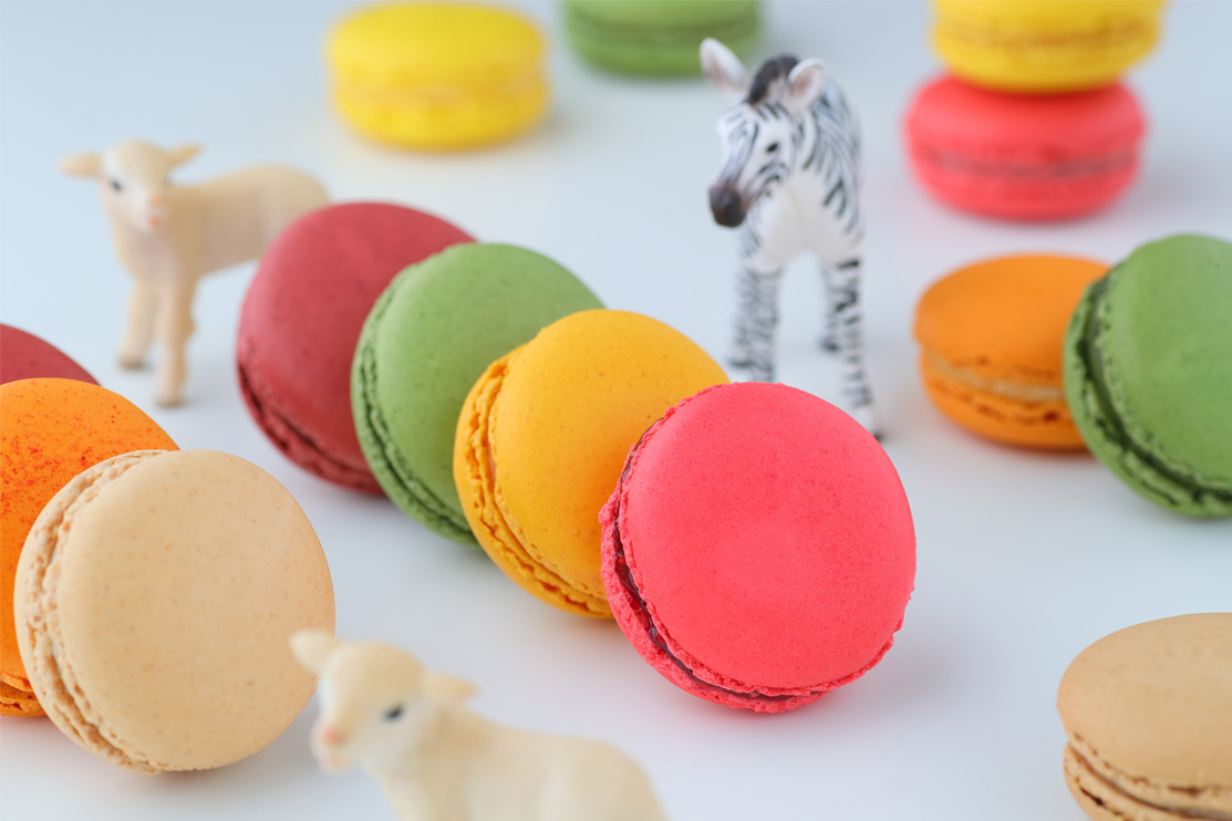 Macarons マカロン | kazunori ikeda individuel