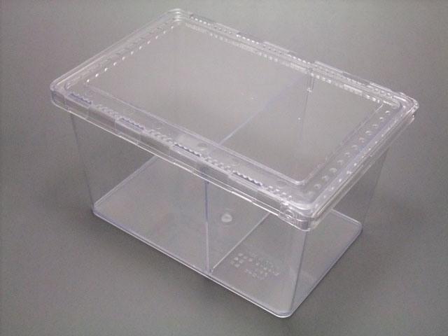 クリアースライダー販売/カブトムシ・クワガタ専門店カブクワファーム