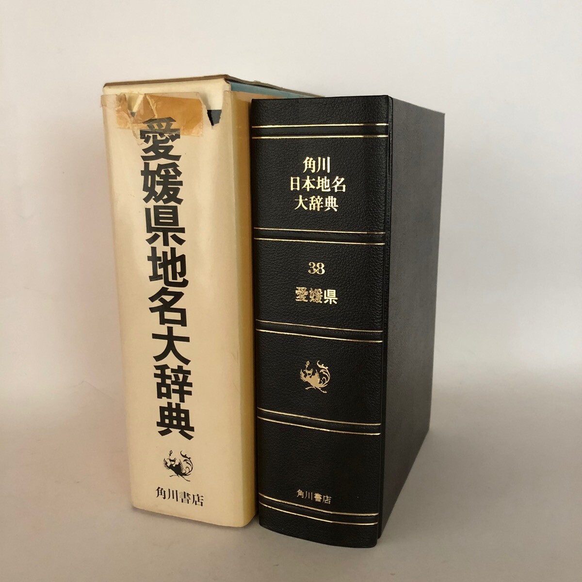 角川日本地名大辞典 38 愛媛県 「角川日本地名大辞典」編纂委員会 竹内