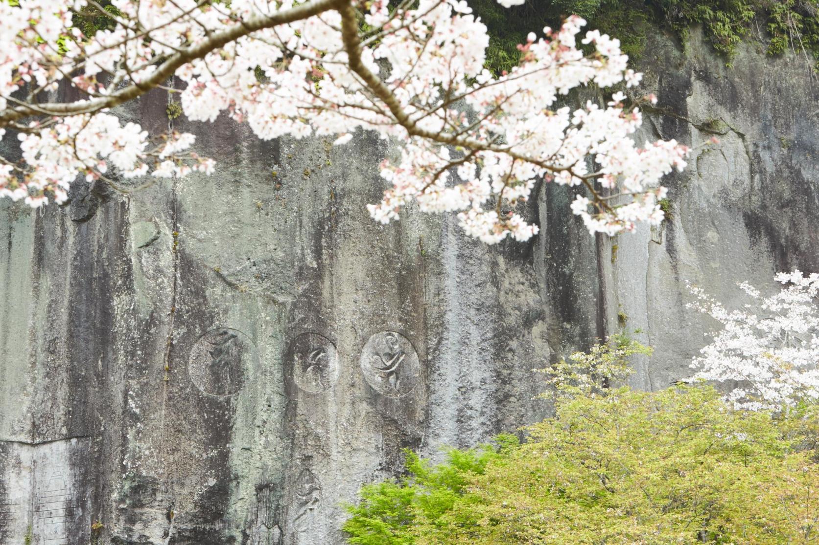 清水岩屋公園・キャンプ場 | 観光スポット | 【公式】鹿児島県観光