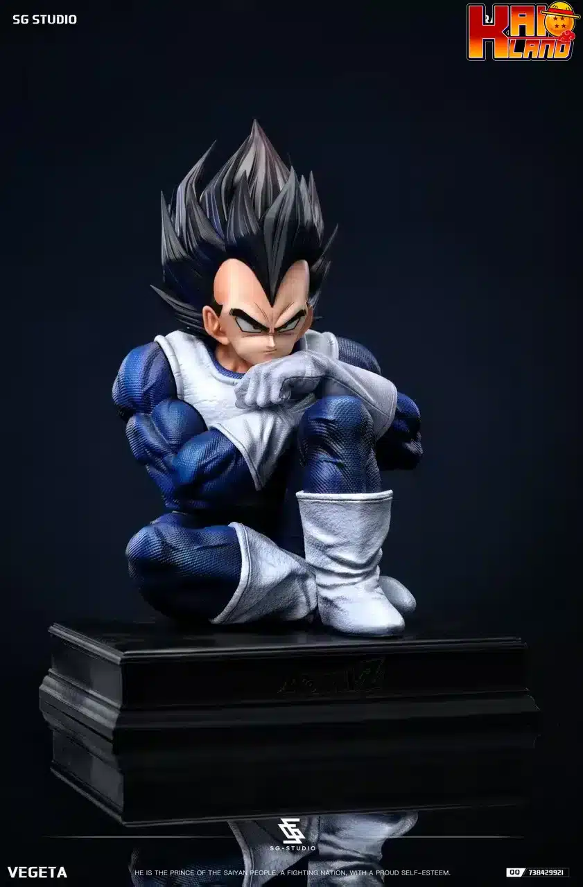 ドラゴンボール SG スタジオ 座るベジータ 樹脂像 - カイオランド