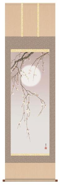 花鳥画 夜桜 清水玄澄 （春）尺五 【特価 】 日本製 春 - 掛け軸（掛軸