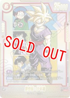 アルティメットバトル - カードショップカメハウス