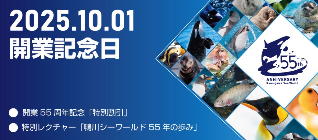 開業55周年記念日 特別割引のご案内｜鴨川シーワールド-東京・千葉の