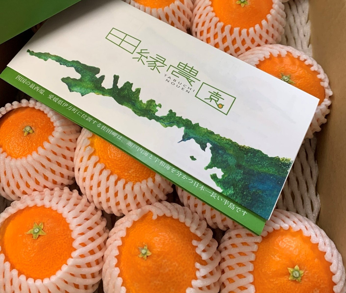 岬まどんな カテゴリ商品一覧｜柑橘の本場愛媛県の美味しいみかん