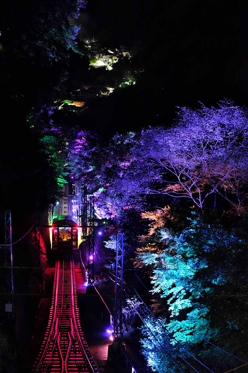 伊勢原・大山ケーブル「冬の夜景運転」沿線ライトアップも | カナロコ