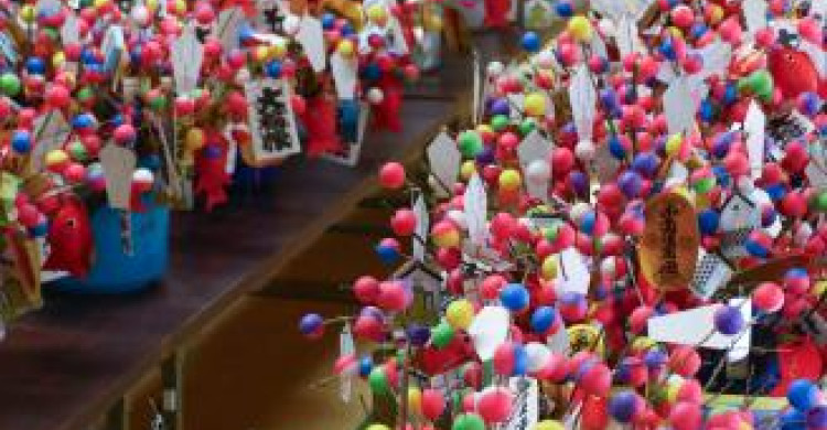 節分前にカラフル縁起物「吉兆」 | カナロコ by 神奈川新聞