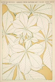 デザイン理論家