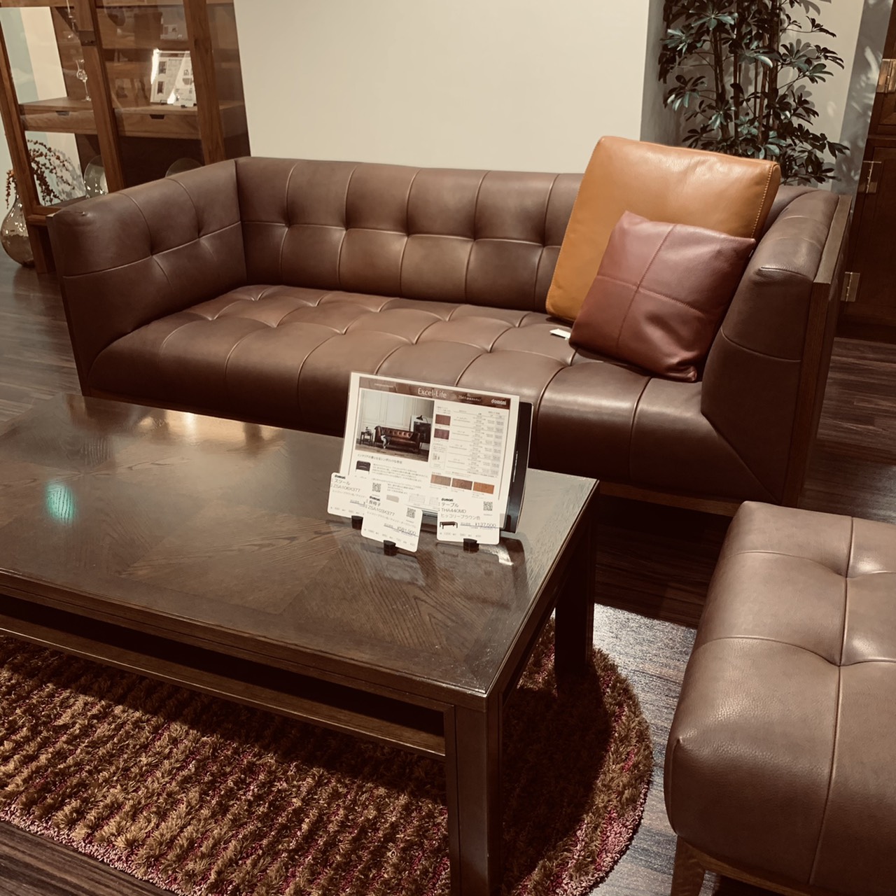 神戸ショールーム｜イベント・新着情報｜カリモク家具 karimoku