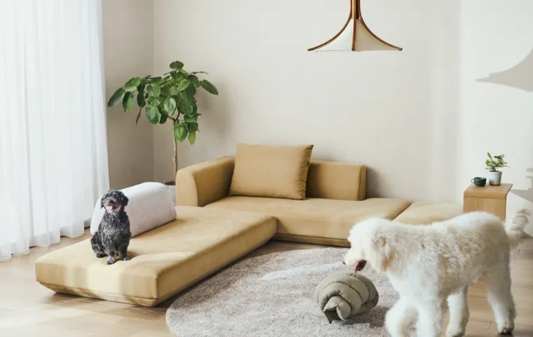 わんちゃんにおすすめカリモクのローソファ｜カリモク家具＆ペット