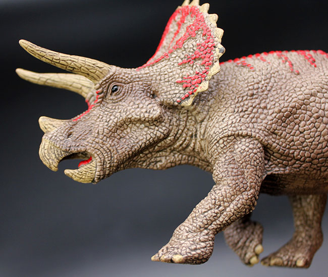 本物化石1個付き！トリケラトプス恐竜フィギュア 教育用グッズ 販売