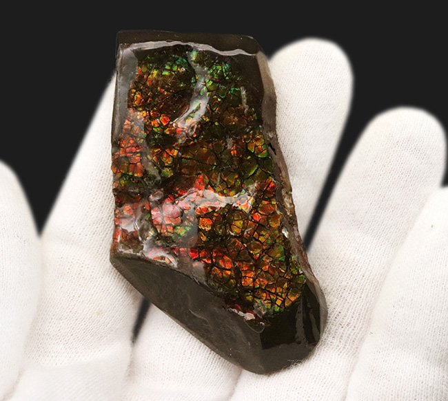 カナダ・アルバータ州が産んだ宝石、レッド、オレンジ、グリーンを