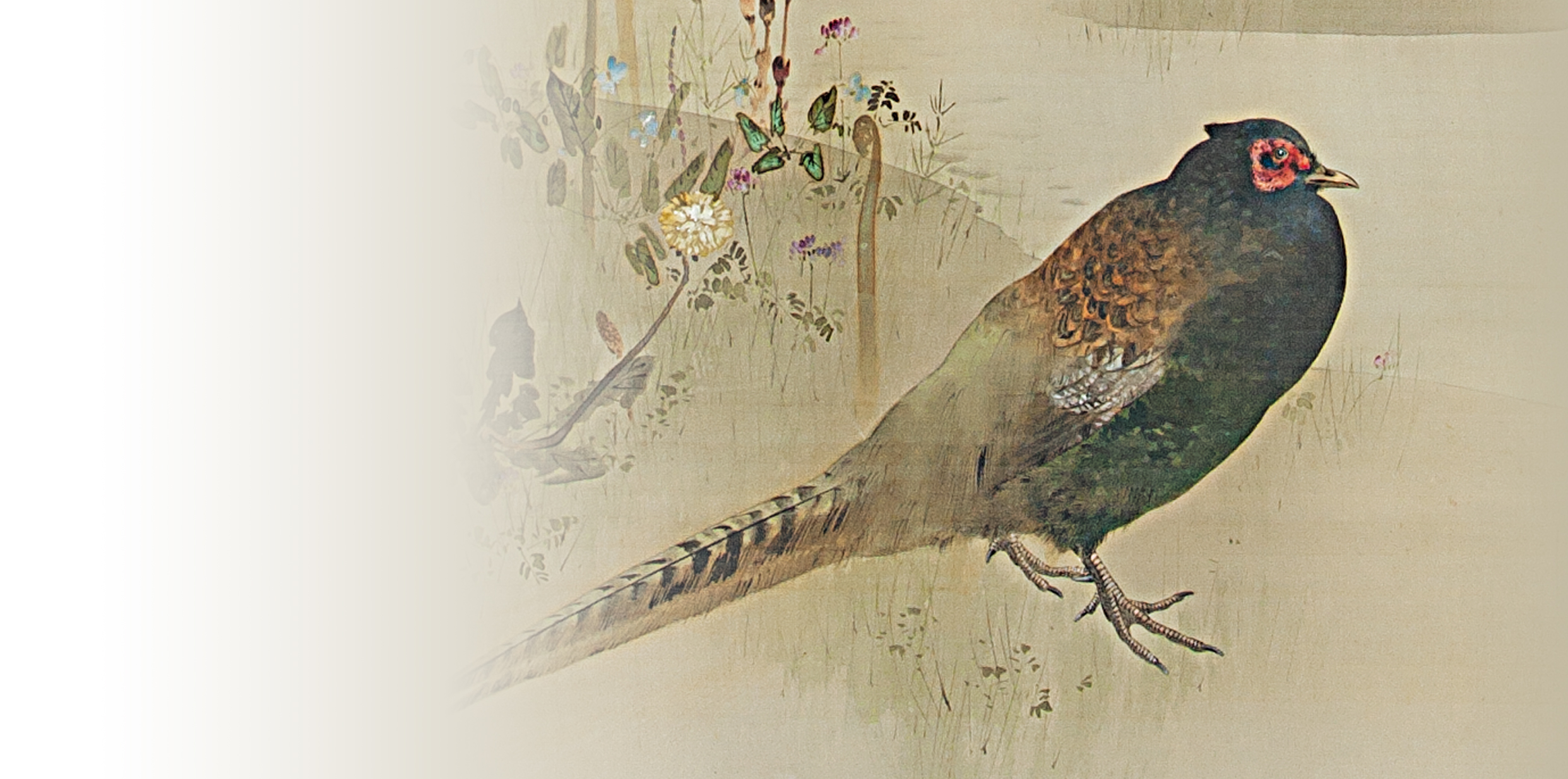 国際化と国鳥：春花鶏図 – 加島美術